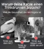 Warum deine Katze einen Trinkbrunnen braucht? Katzen trinken aus ungünstigen Quellen Wasser.
